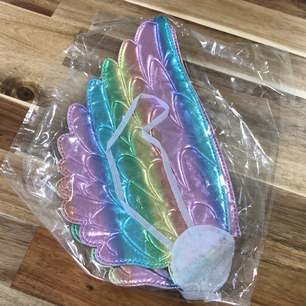 Rainbow wings